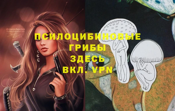 прущие грибы Липки