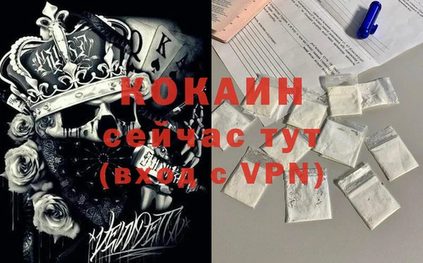 прущие грибы Липки