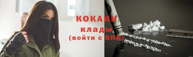 прущие грибы Липки