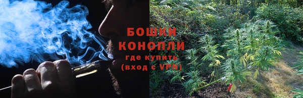 прущие грибы Лиски