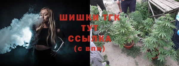прущие грибы Липки