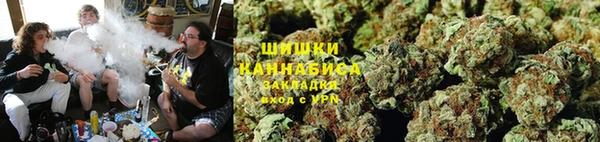 прущие грибы Лиски