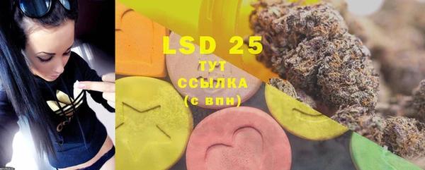 прущие грибы Липки