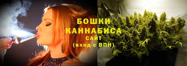 прущие грибы Липки