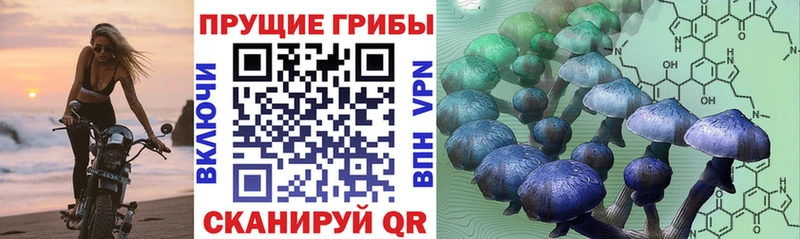 Галлюциногенные грибы прущие грибы  Купить где  Ивангород 